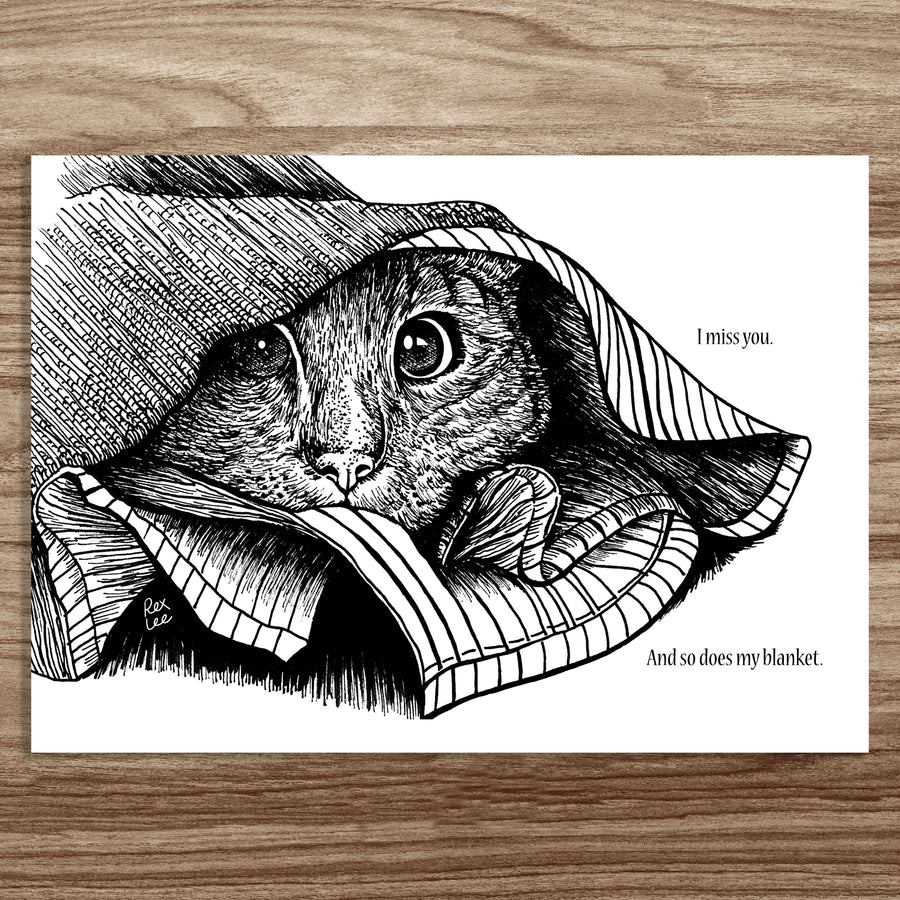 Classical Cats (set of 5 postcards)