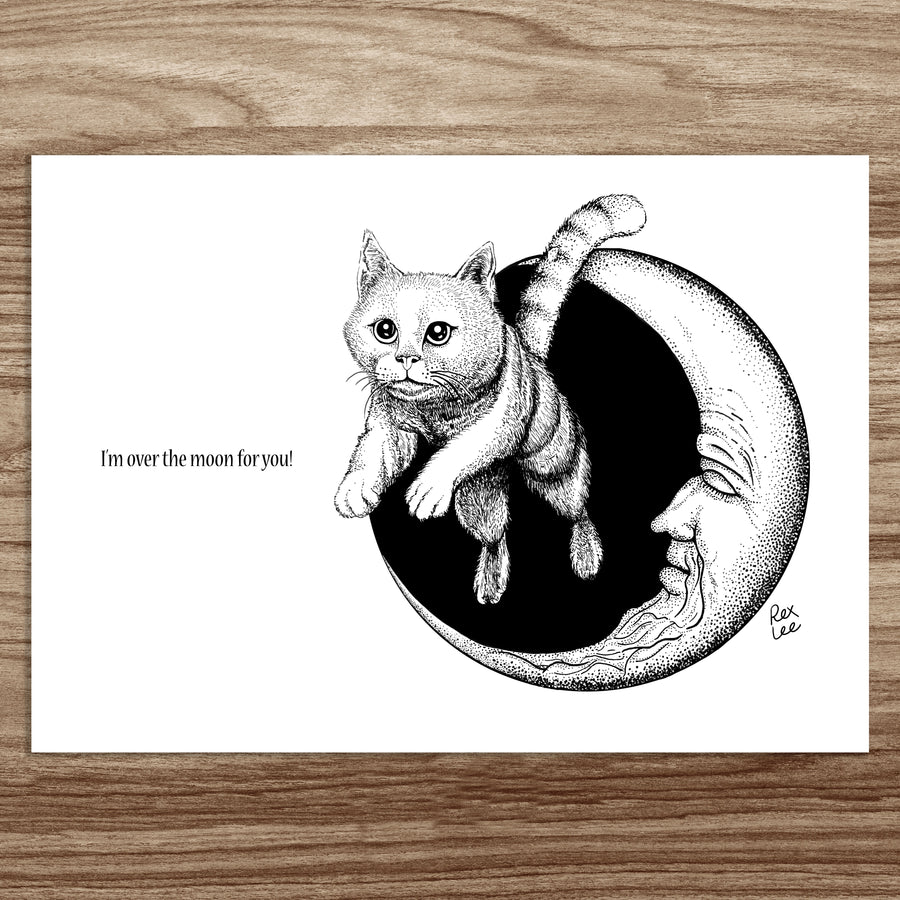 Classical Cats (set of 5 postcards)